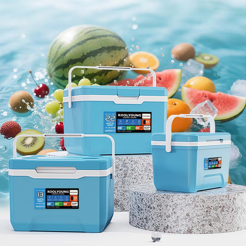 Outdoor Camping Food - 6L Portable Freezer Box Outdoor Insulated