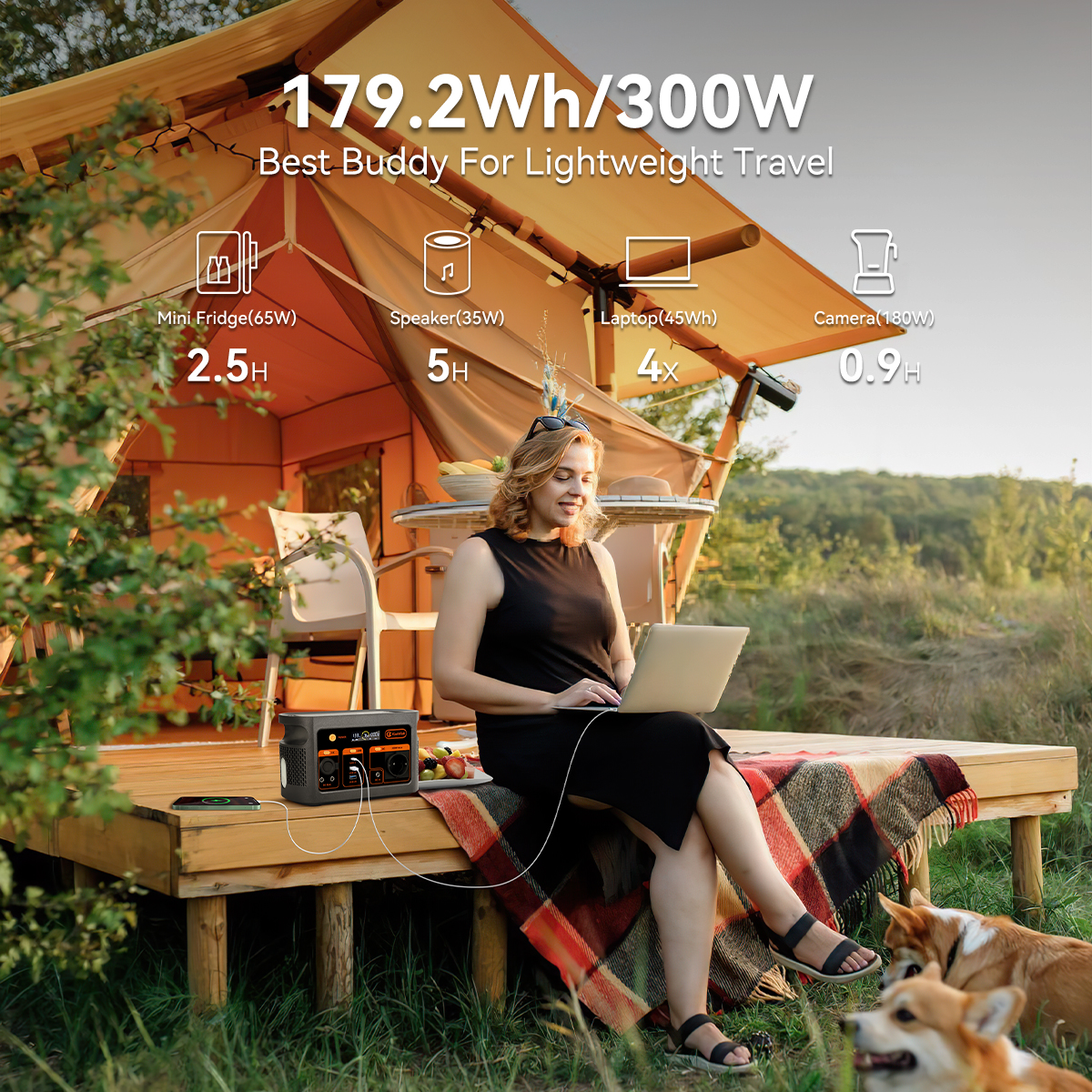 300W pure sine wave solar gene - Portable Power Station 리뷰 및 가격