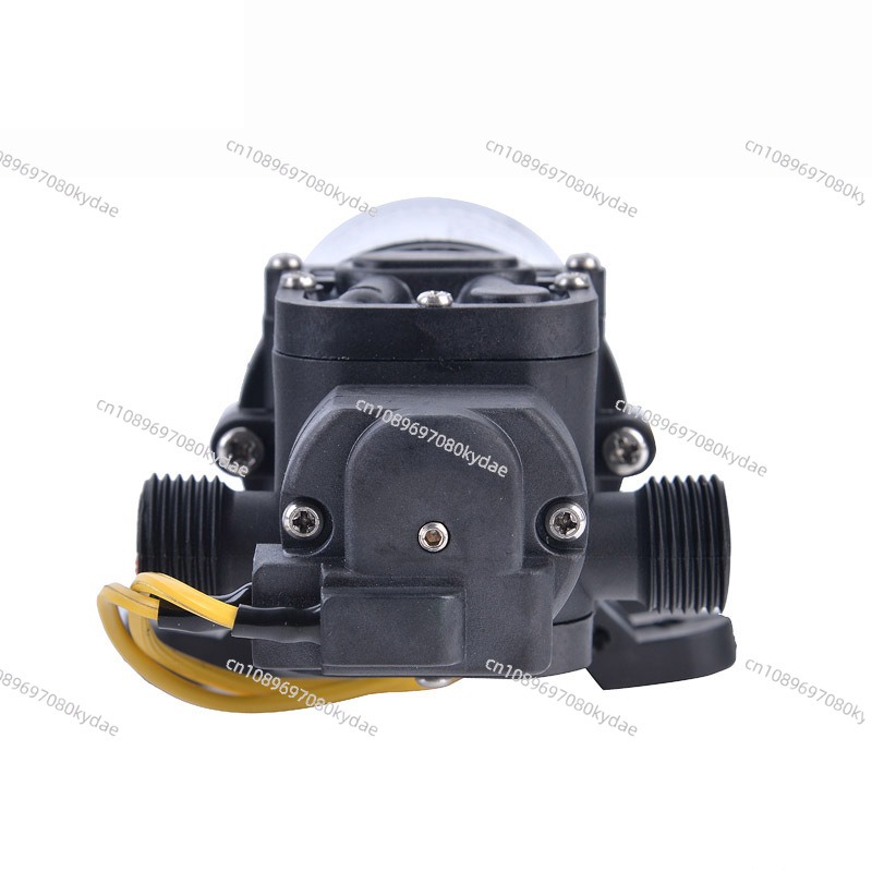 Portable LPG Water Heater - 12 - Outdoor Camping Hot Water Heater 리뷰 및 가격