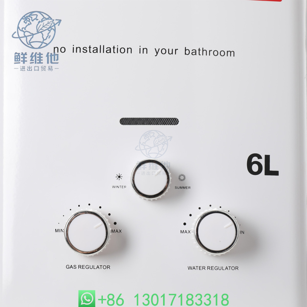 6L 12KW Stainless Steel Instan - Outdoor Camping Hot Water Heater 리뷰 및 가격