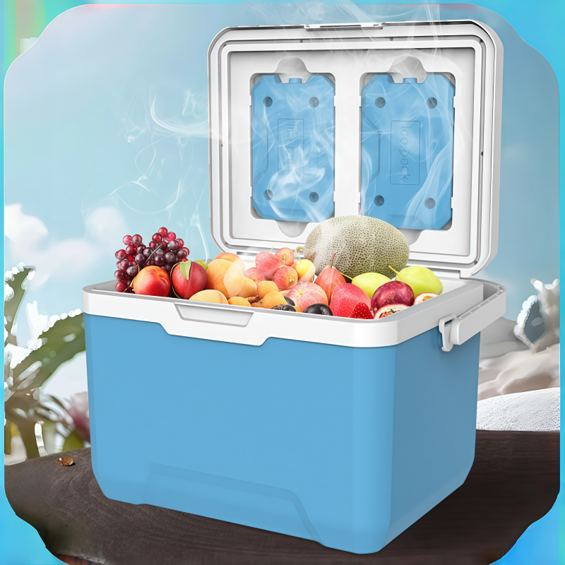 6L Portable Freezer Box Outdoo - Outdoor Camping Food 리뷰 및 가격