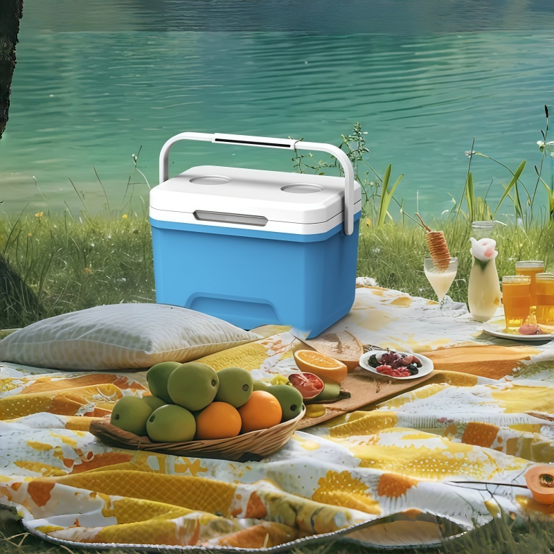 6L Portable Freezer Box Outdoo - Outdoor Camping Food 리뷰 및 가격
